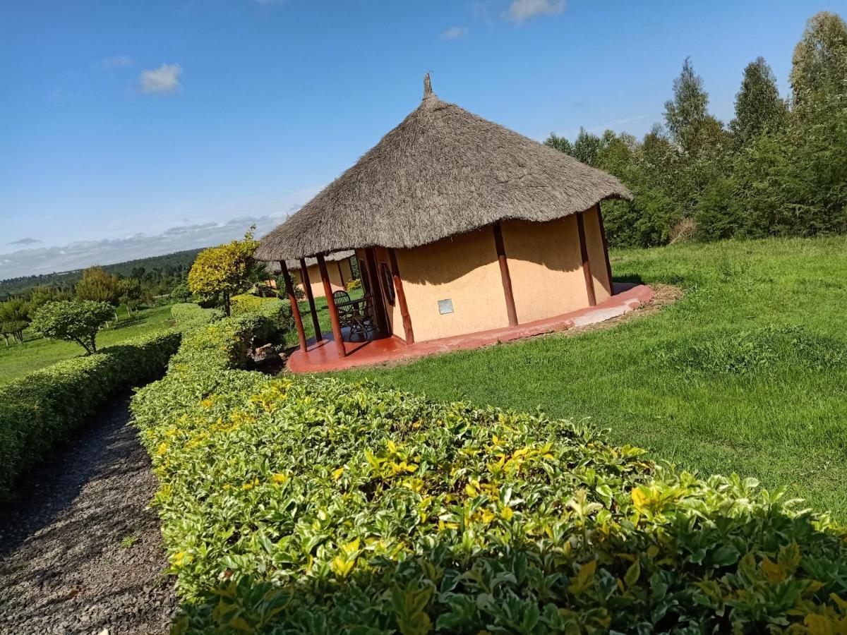 The Great Circle Lodge Nanyuki Exterior foto